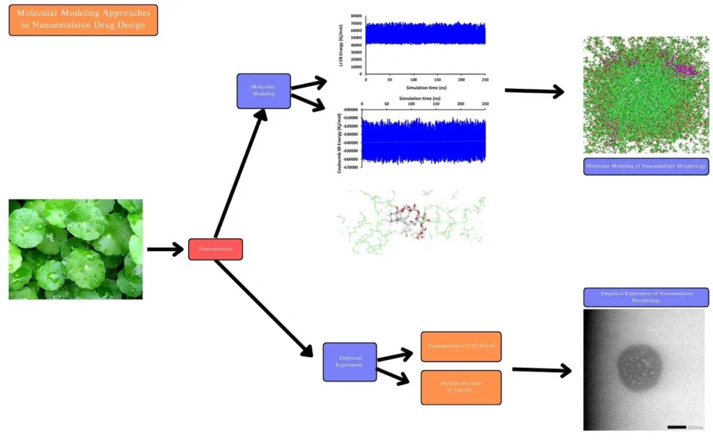 SPF Stability Simulation: 7 Proven Digital Tools for Superior Sunscreen Formulation in 2026 4 Molecular Modelling Approaches in Nano-emulsion Drug Design